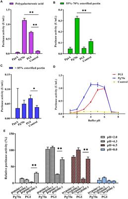 Generation of Multi-Transgenic Pigs Using PiggyBac Transposons Co-expressing Pectinase, Xylanase, Cellulase, β-1.3-1.4-Glucanase and Phytase